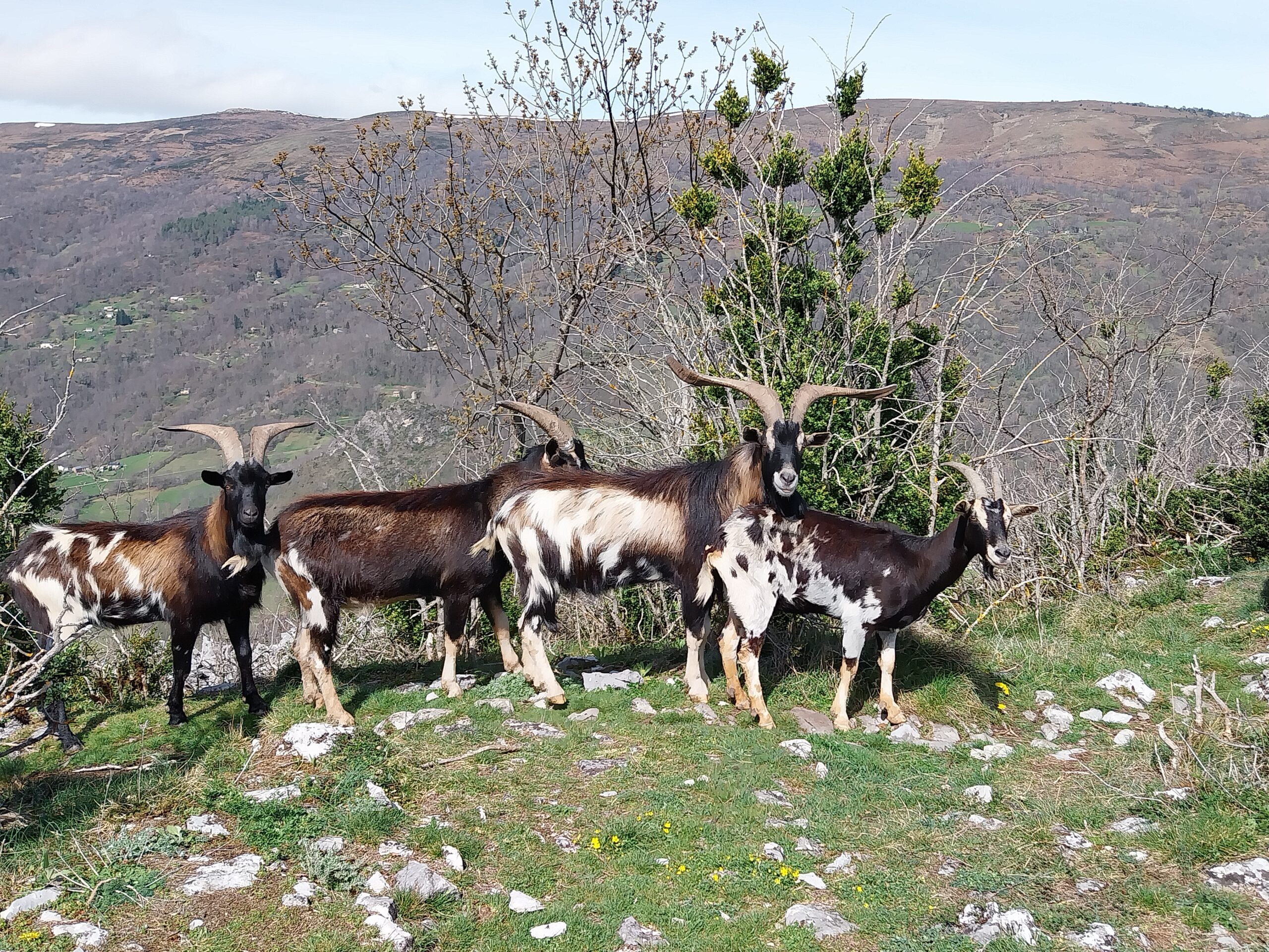 Dimanche 24 Mars – Initiation Grande Voie à Calamès